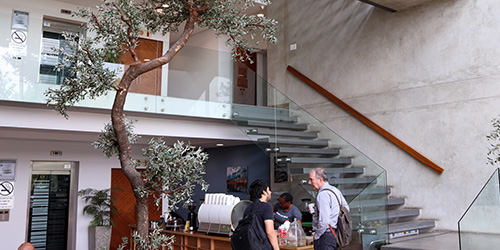 johannesburg campus