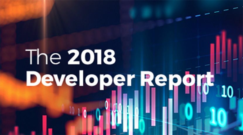 The 2018 developer report